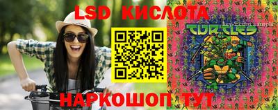 шишки Краснодар