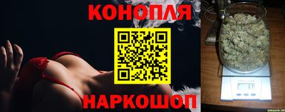 spice Кунгур