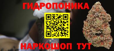 бошки Краснознаменск